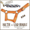 Halter + Lead Bundle