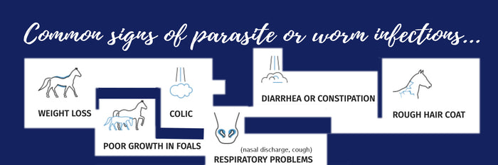 Vaccine and Wormer Recommendations From Heartland Veterinary Supply