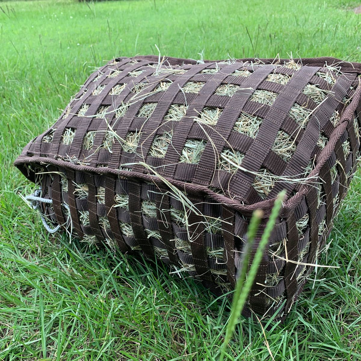 Ground Feeder & Natural Grazer - A Four Sided Slow Feed System Designed For Use On The Ground