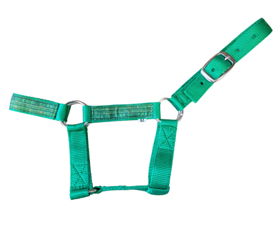 Miniature Donkey Halter