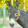 Miniature Donkey Halter