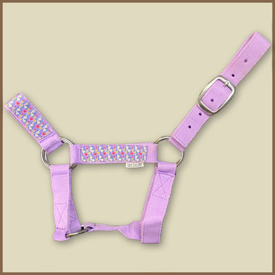 Miniature Donkey Halter