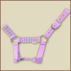 Miniature Horse Halter