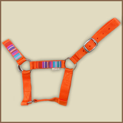 Orange miniature donkey halter with colorful striped overlay