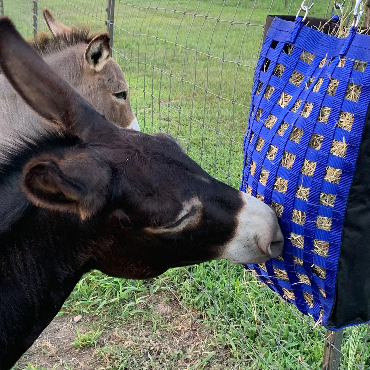 Slow Feed Hanging Hay Bag