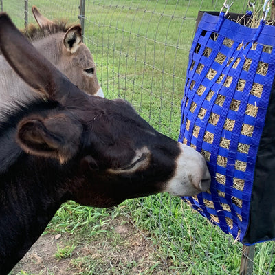 Slow Feed Hanging Hay Bag